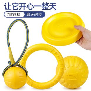 �����������ҧ����Ӗ����߅����ë�RȮ�д���Ȯ���h�w�P������