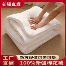 新疆棉被夏凉被全棉被芯纯棉花棉絮一级棉花夏季棉被床垫长绒棉花