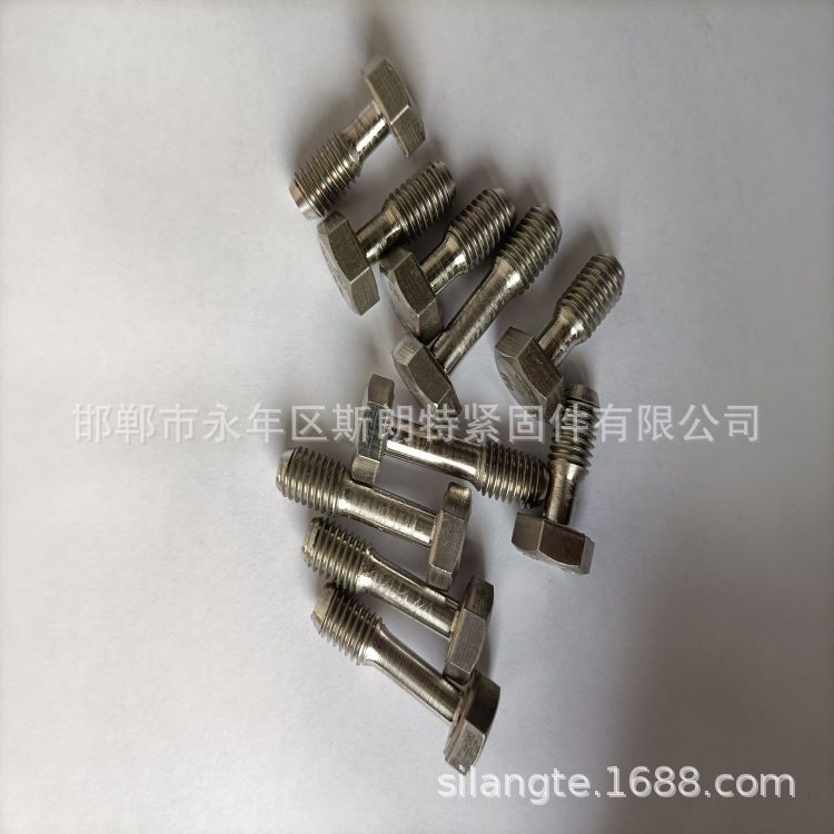 ���������ͷ���ѳ��ݶ�GB838 A2-70����ֲ��ѳ��ݶ�DIN7964