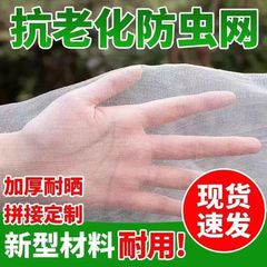 蛇網網糸80目は蛇を入れてカエルのロブスターを入れます。
