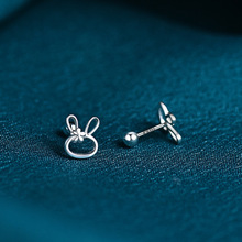 ���Ӷ��ŮS999�y�B����С���OӋ��2024���¿����ᔄ���C01107