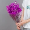Фиолетовый, 120 г
