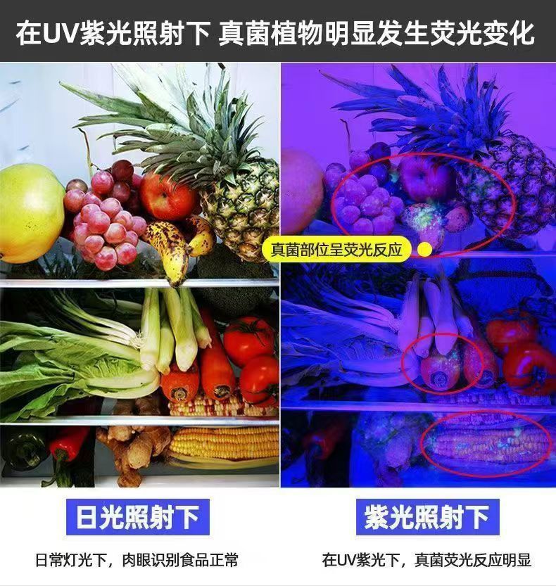 484bbfdf-5daf-4563-8216-bf584b8585a1.jpe