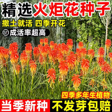 ��滨�N���ͺ����＾���t������ɏ�N�Ӷ����������̨���Ե���