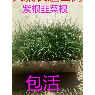 �¾²˸���F�ڼt�ϸ�С���~�̨�҃��辰�Ժ��B�׻�Gֲ����Ʒ�N