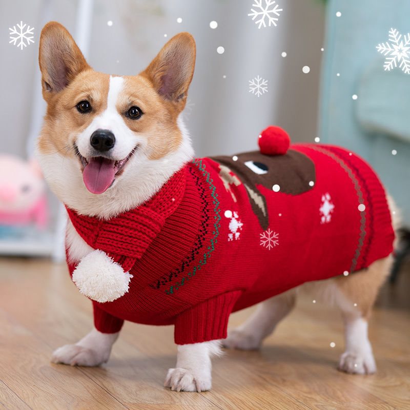 Padded Coat Image 2
