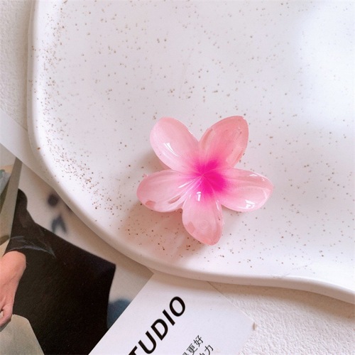Amazon Bestselling Small Number Flower Egg Hairpin Gradient Egg Flower Claw Clip Fashion Shark Hairpin Sweet Hairpin