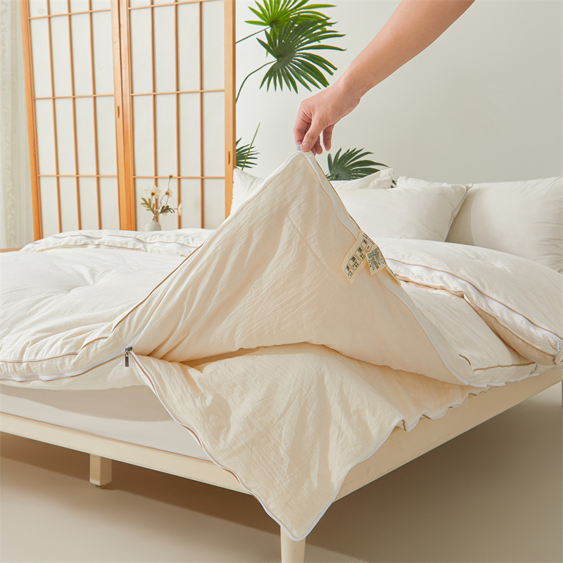 Class A Comforter Soybean Fiber Quilt Spring Autumn 2-in-1 Mother-Child Duvet Student Dormitory Single Person Thickened Winter Quilt Core