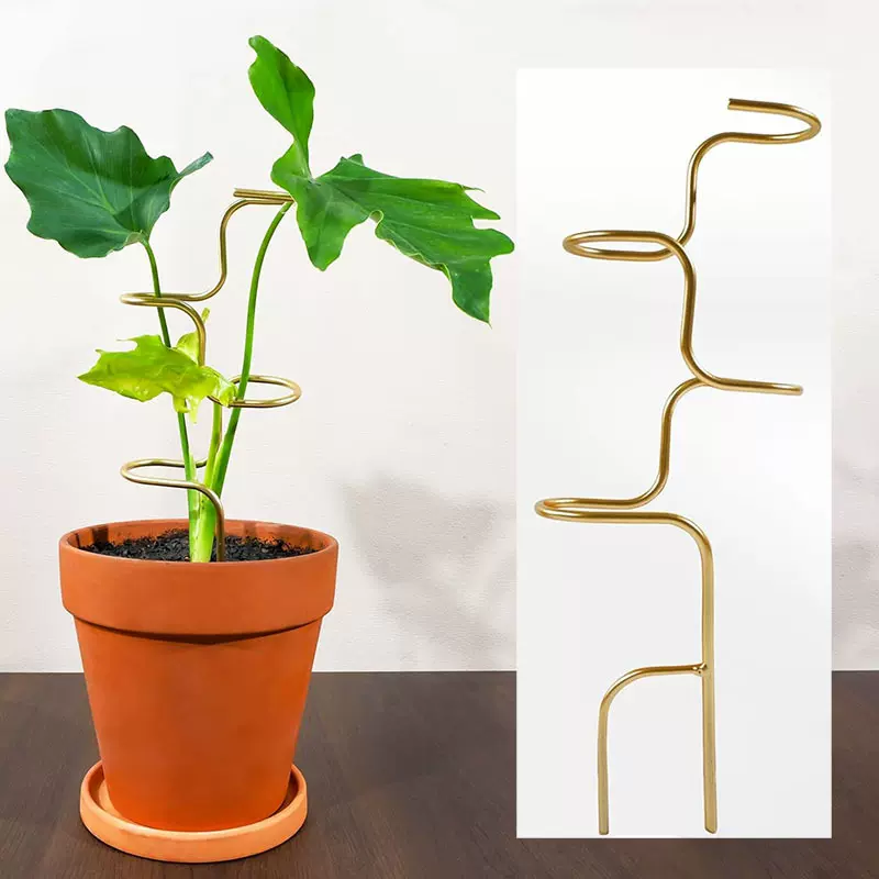 桦杉 植物攀爬架爬藤铁艺花架 户外盆栽铁支架 植物支撑固定杆