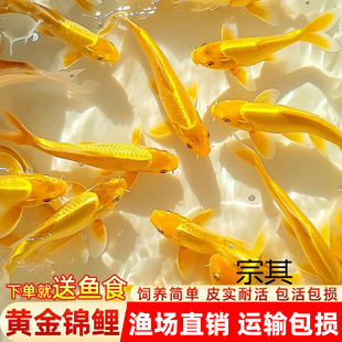 �S���\����ؔ�~�ԁ�ˮ���B�ͻ���B��ˮ�~С���~���^�p�~���~