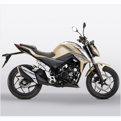 新款燃油型2座成人代步运动公路竞赛摩托车二轮越野摩托车 300CC|ru