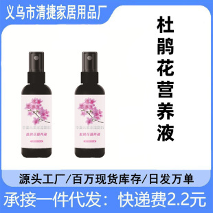 Special Nutrient Solution for Rhododendron, Dilution-Free Flower Fertilizer, Yellow Leaf Rotten Leaves, Special Fertilizer for Falling Buds, Manufacturer Wholesale Foliar Fertilizer