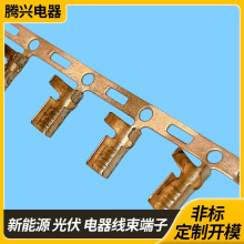 �䉺�Ӿ����� �h���_�� SGS �z�y �W�˳��ں�Ҏ