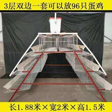 热镀锌蛋鸡笼养殖场阶梯式蛋鸡笼4门养鸡笼全套自动滚蛋鸡笼