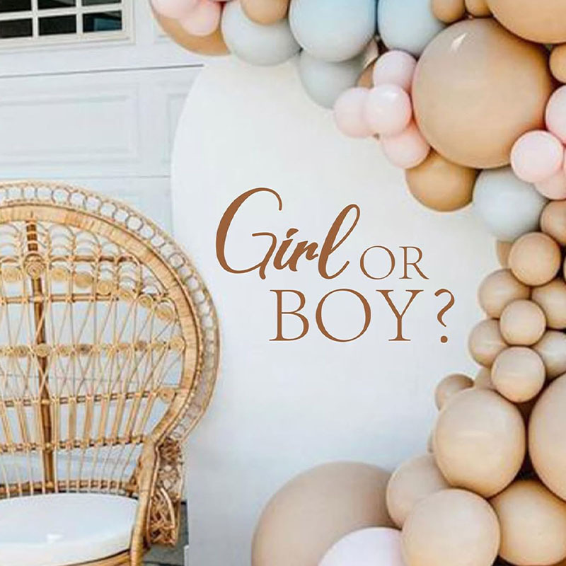 Cross-Border Boy and Girl Gender Reveal Party Decoration Wall Stickers Birthday Party Balloon Arch Background Decals Signs