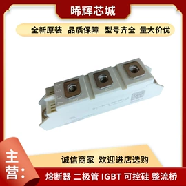 普通晶闸管;IGBT模块;其他二极管