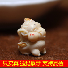 ��Ȼ�ͪw���� С���� ���댚����̼� DIY������� ���� ɢ�����