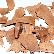 红茴香根,批发中药材红茴香根,找不到的药材电话咨询