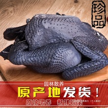 ɢ�B�����u�F�����r���u�r�Ҟ��uС���u���u���r��ĸ�u�ߵ��u��ֻ