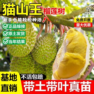 ؈ɽ����ɏ�޽ӹ������K���������^����ָ��ɏ�����Ե��Ԯ���Y��