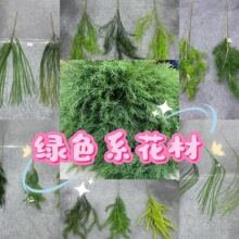 ��c�Gɫϵɭϵ�nʽС���¾Gɫ���Ĉ@�־��^�~�ķ��滨�����~��