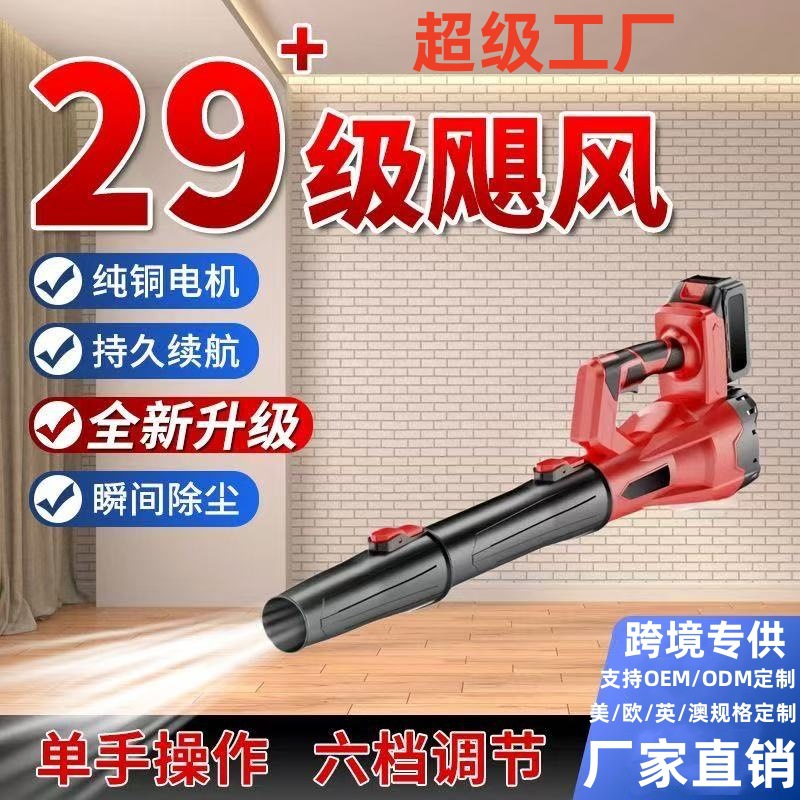 Manufacturer Cross-Border Supply of Wireless Rechargeable Lithium Hair Dryer High-Power Handheld Portable Blower Dust Collector