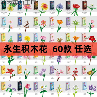 õ�����տ�ƴ�b��ͯ���������eľ���������һ���˹��Y��ˮ���ɻ�