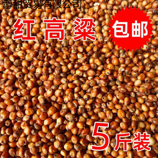 �����׼t����ȥ����Ƥ�¸���ᄾƸ���ᄴ�ι������ϼt����