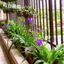 �����m�{���Sβ���R�m����ͥԺ�G�������̨�G�����^�ͺ��ݱ�����