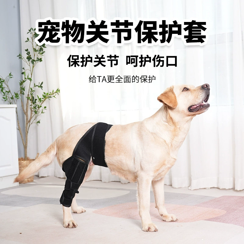 Защита ног и суставов для домашних животных Защита от разрыва связок