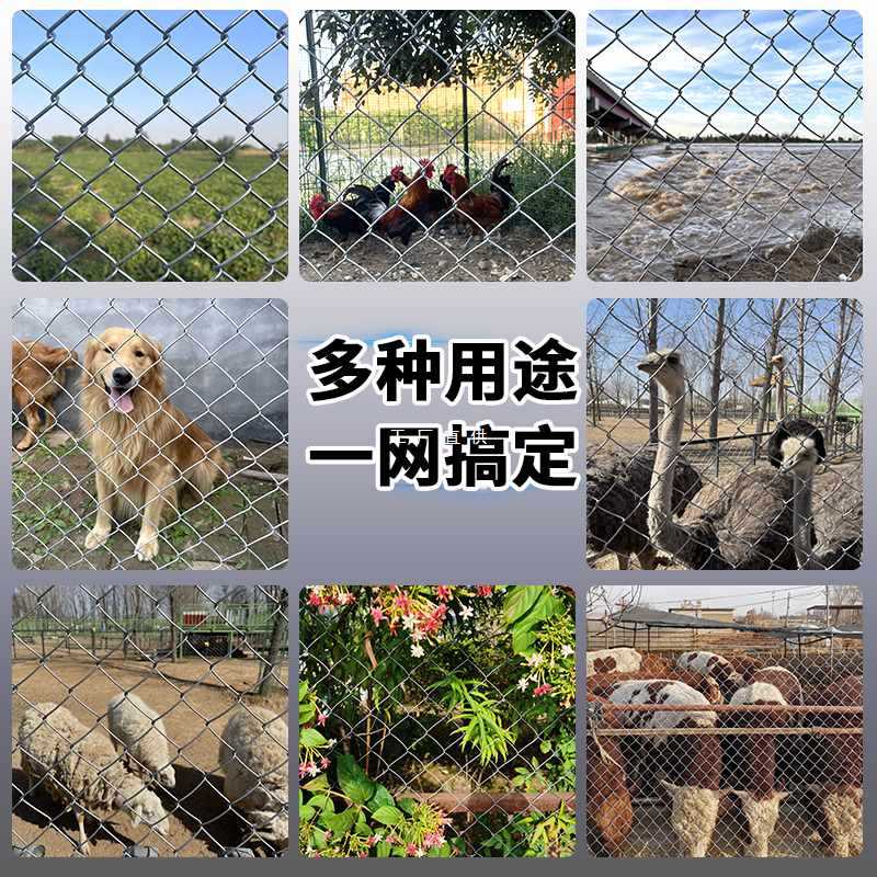 ✅热镀锌铁丝网养殖围栏圈钢丝网果园户外隔离防护网勾花网网格养