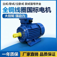 �O�䌣��늙CYE3���ஐ��늄әC2.2KW380V�L�C����늙C�S��ֱ��