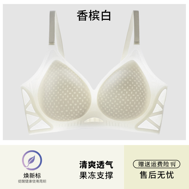 샴페인 화이트