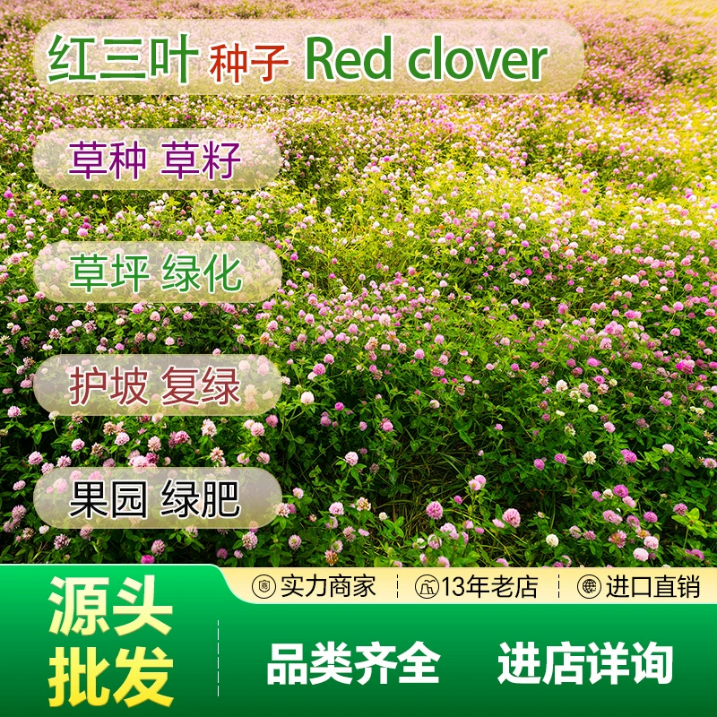 Прямые продажи от источника оптовая продажа сетчатых семян семена красного клевера защита склонов семена травы инженерные семена садовое зеленое удобрение озеленение пастбищ