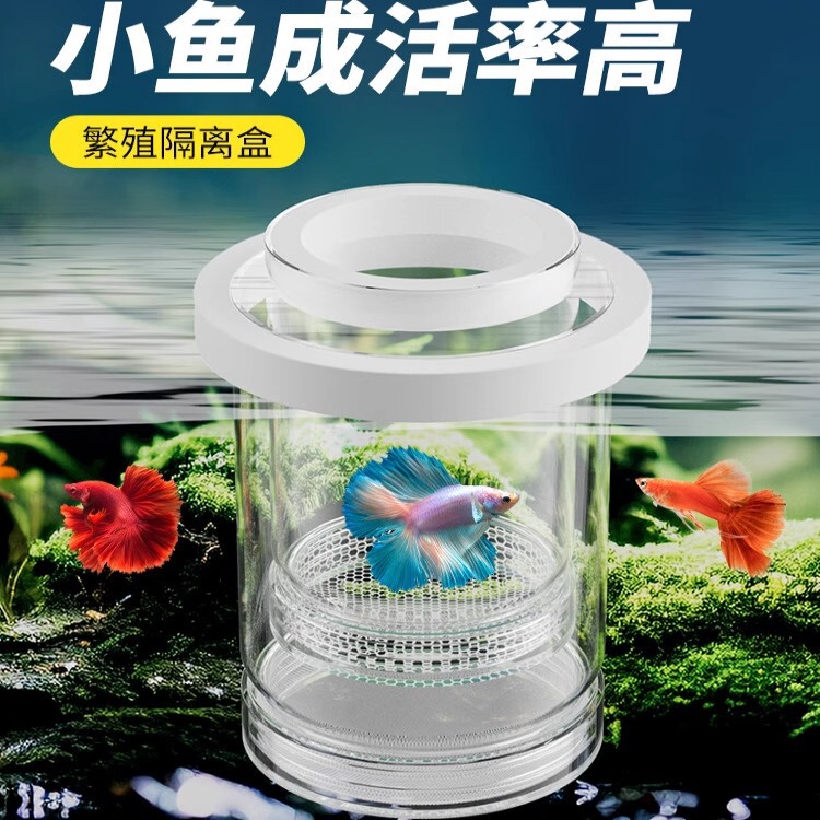 Guppy Fish Tank Incubation Box Isolation Box Breeding Box Phoenix Tail Zebra Betta Delivery Room Small Fish Tank Live Fish Spawning Room