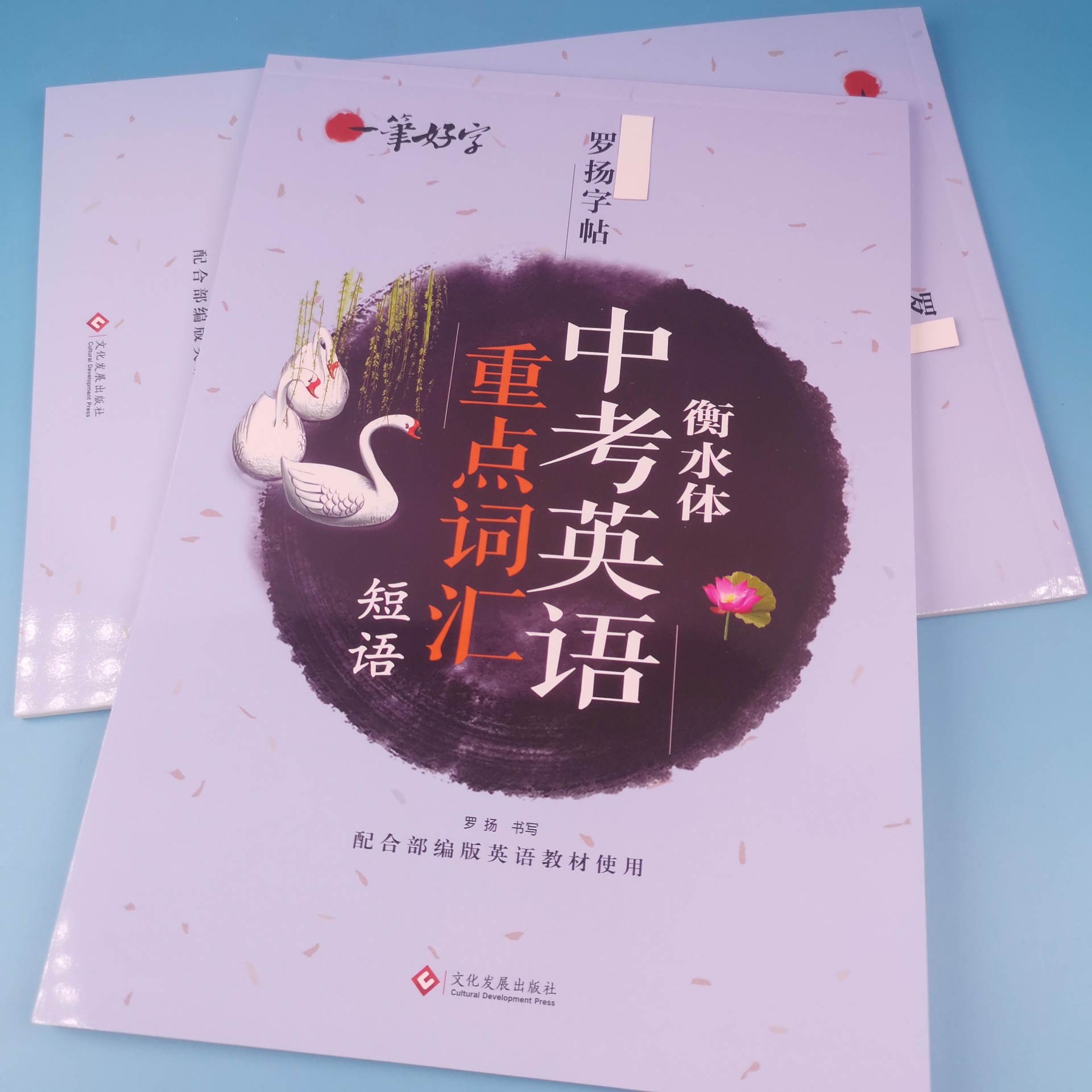 罗扬中考词汇 (1).jpg