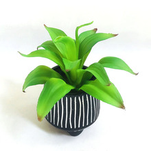 �����m�����JȔ�����ֲ�������Ƽٲݻ�ˮ�����Ի���Ҿ��b�ֲ��