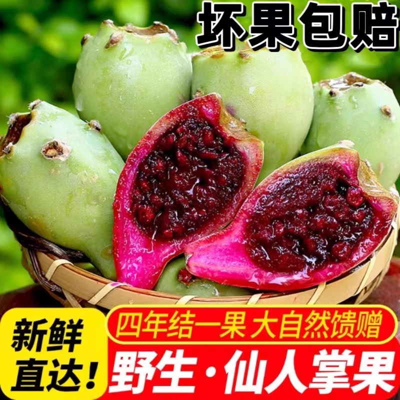 海南仙人掌果新鲜当季现摘现发仙人掌果仙桃1斤/2斤/5斤现摘现发