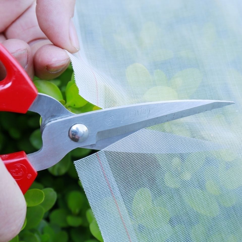 防虫网大棚专用农用蔬菜果园猪场防蚊蝇网尼龙网庭院柳絮