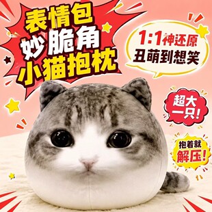 ����С؈�W�t��Ц�޻�����ë�q���؈��ɐ۱�������Ů���ѶY��