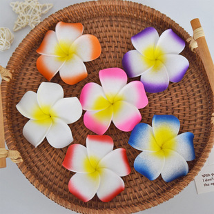 �W����������u������߅�AŮʿ�Շ��Є����A��߅ɳ��ץ�A�l��^�