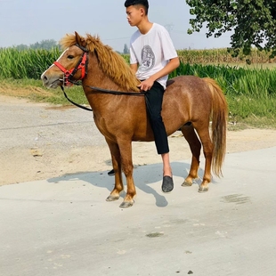 ��ͯ�T�˰������R �������С���R ���հ��R��Ѫ�R �T�˴��R���w