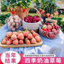 �ļ���ݮ�N���׻��ݮ��ͥԺ�̨�����҃��⻨�ܻ��N�������Ͳ�ݮ