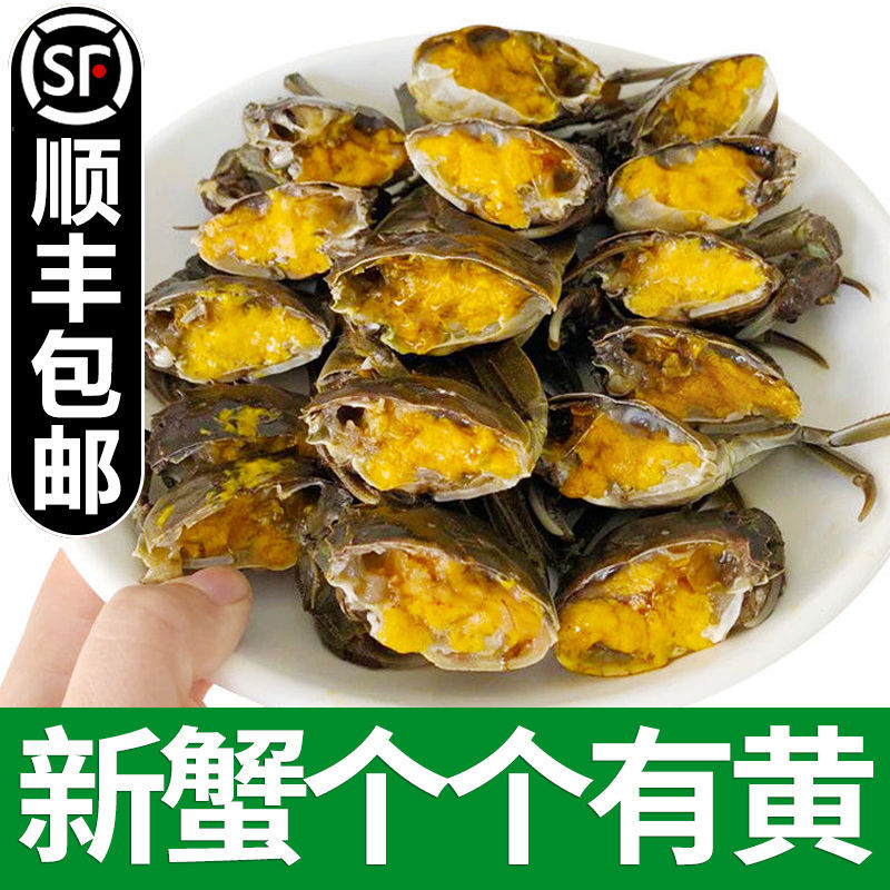 全母小螃蟹鲜活大闸蟹一元蟹二三元毛蟹稻田蟹河蟹农15-60只包邮
