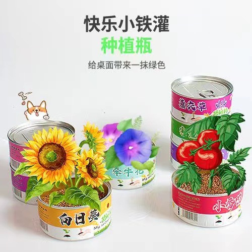 ֲСװֲֹ ޻ħ칫ֲ