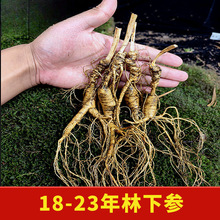 Ұ���r�˅��L��ɽ�r�օ���ɽ�����r�х���֦Ұɽ�����ݾ��Ҝ�