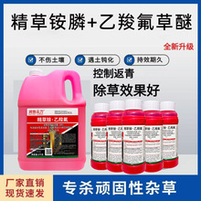 精草铵膦乙羧氟草醚除草烂根剂果园荒地杂草顽固性杂草除草剂正品