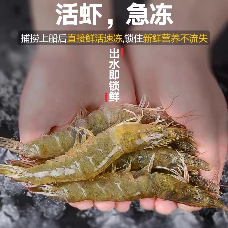 大虾鲜活速冻超大基围虾特大虾冷冻鲜对虾活冻虾虾类海鲜水产