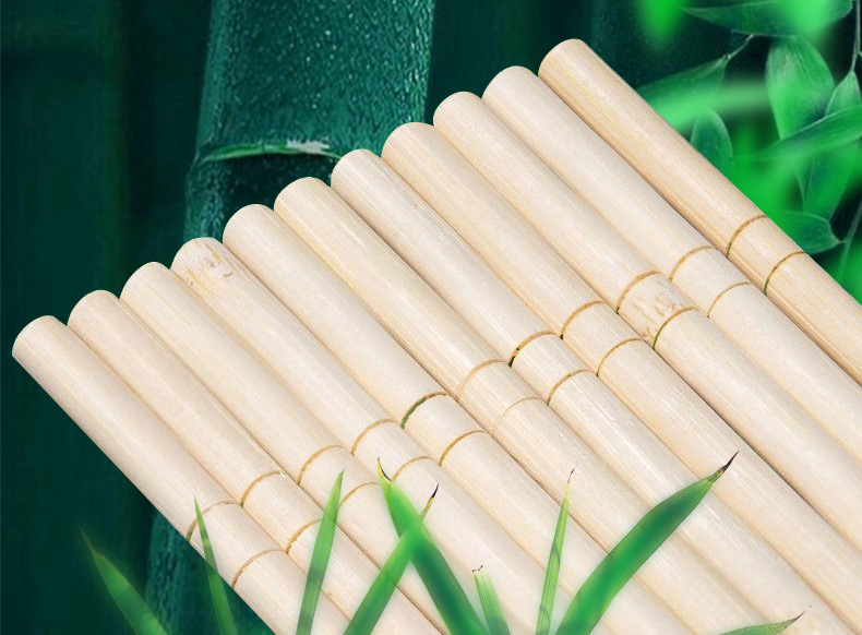 239445bd-4c5e-4e05-9ae1-3fa819ba0c9d.jpe