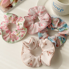 �W���߼��а�߅�黨���c�lȦ���Rβ�^���ߏ����^�KƤ��l�